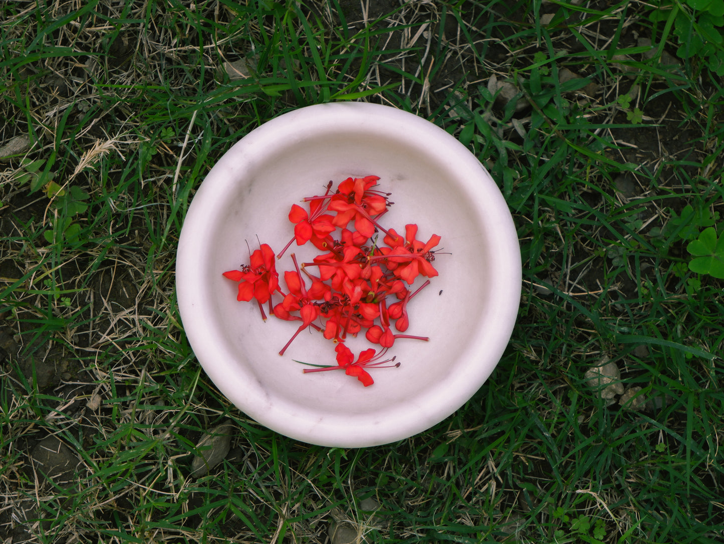 Leaf Marble Decorative Bowl