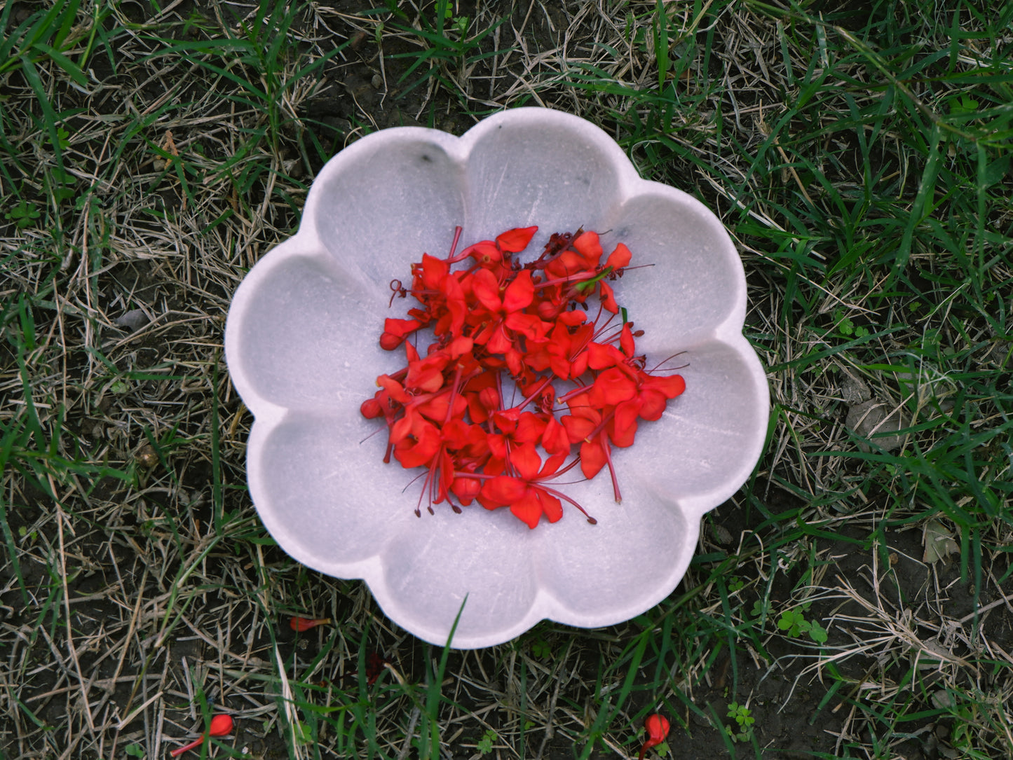 White Scalloped Marble Bowl