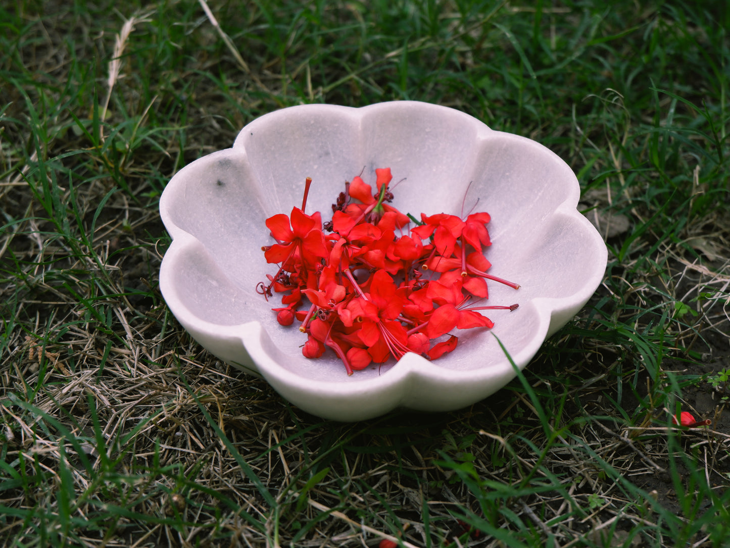 White Scalloped Marble Bowl