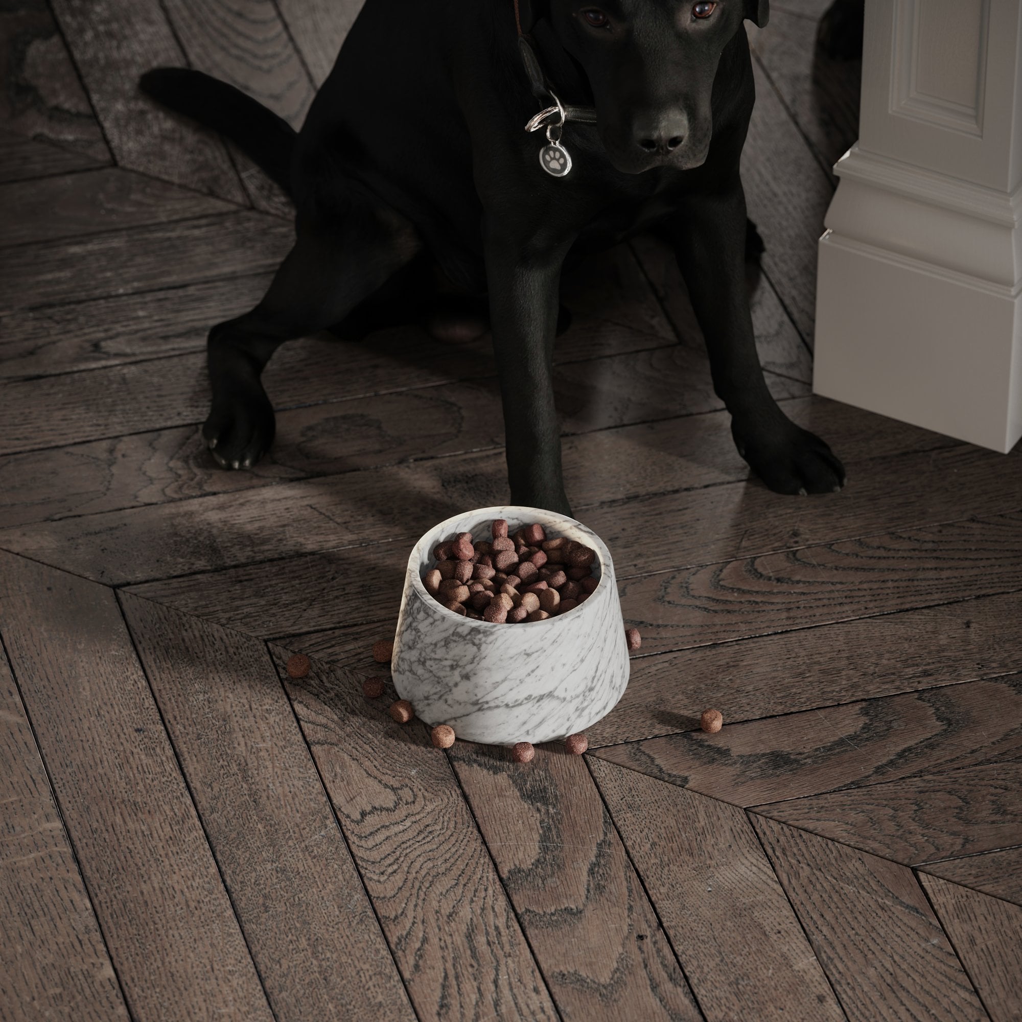 Marble Dog Bowl White Le Home Decor