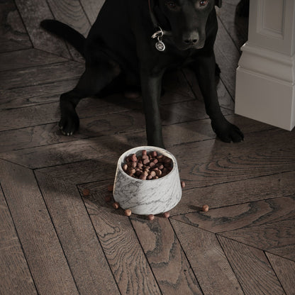 Marble Dog Bowl - White