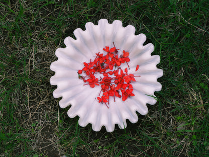 White Wavy Edges Bowl